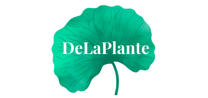 DeLaPlante Retreat  image