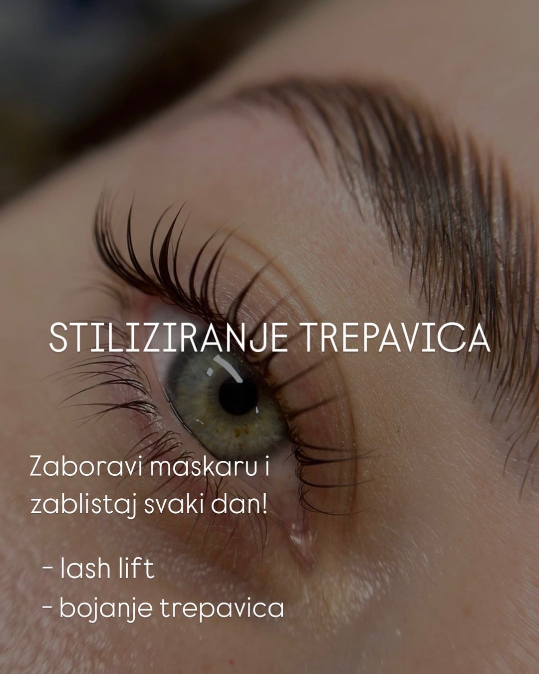 Slide 12