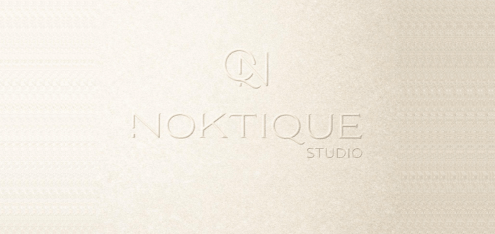 Noktique image